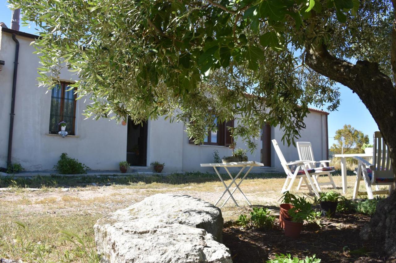 Su Cuile Historical Country House With Barbecue Martis Εξωτερικό φωτογραφία