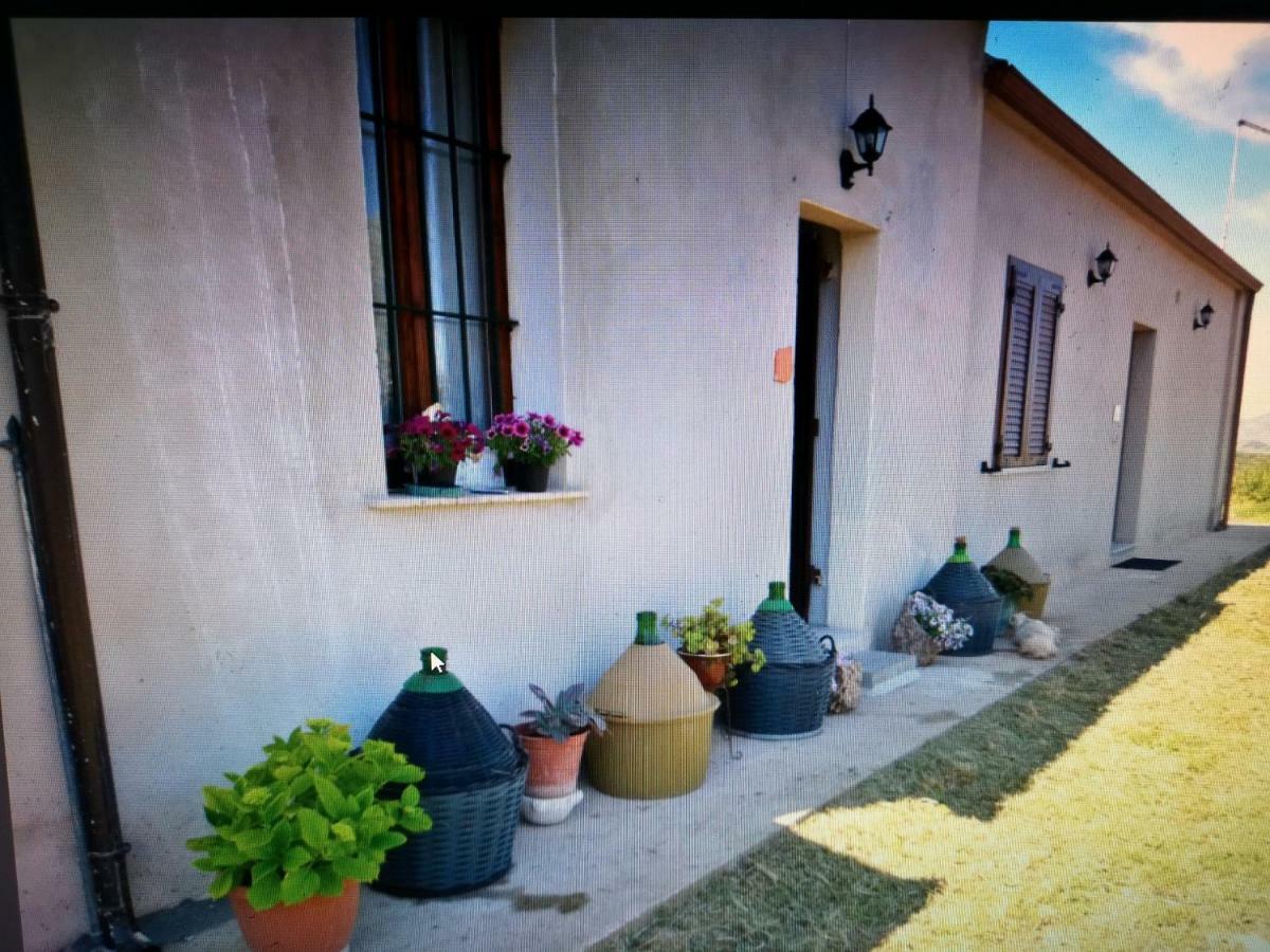 Su Cuile Historical Country House With Barbecue Martis Εξωτερικό φωτογραφία