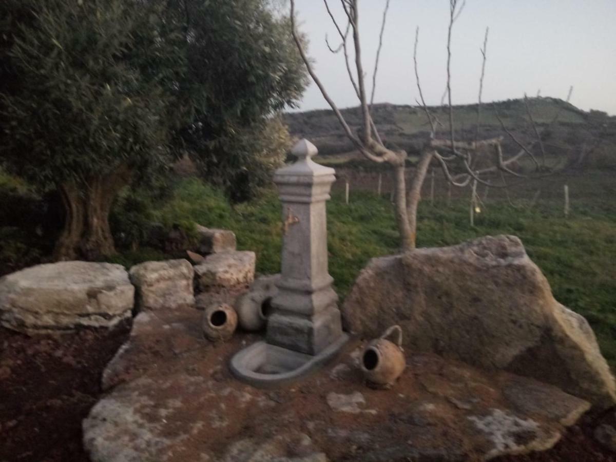 Su Cuile Historical Country House With Barbecue Martis Εξωτερικό φωτογραφία