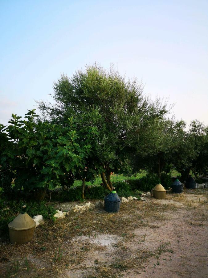 Su Cuile Historical Country House With Barbecue Martis Εξωτερικό φωτογραφία